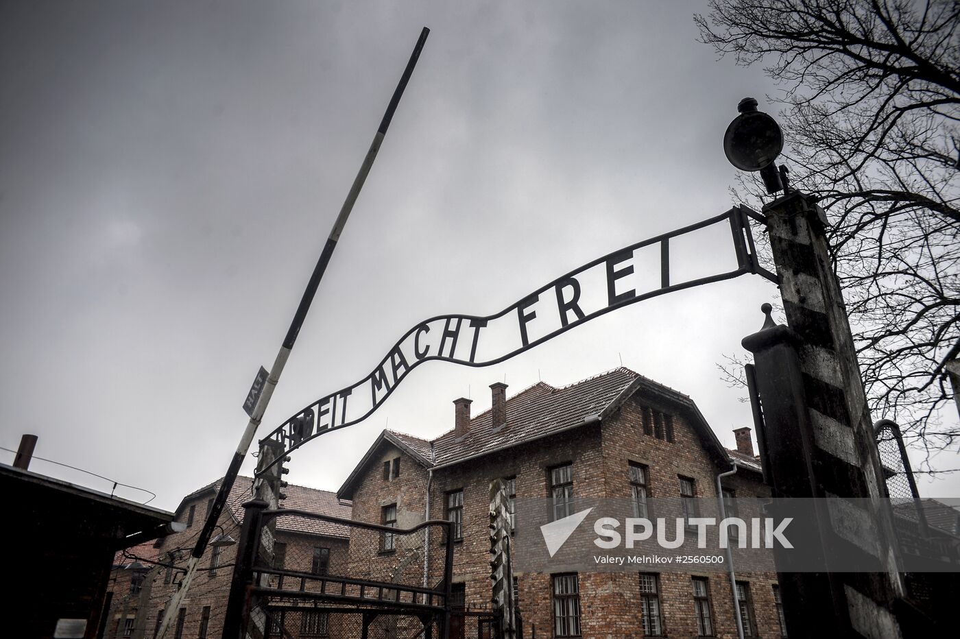 70th anniversary of Auschwitz liberation by Red Army
