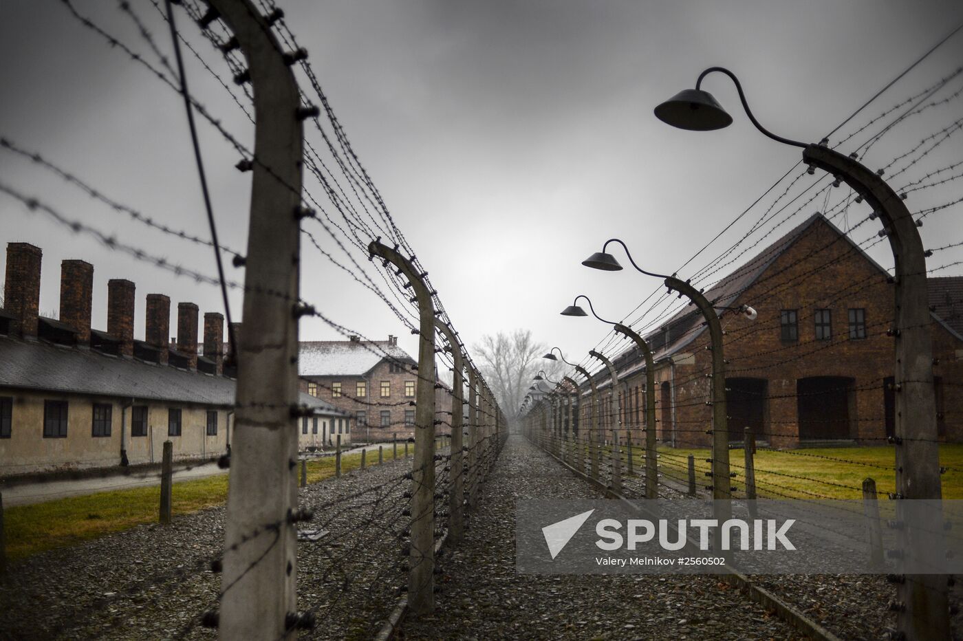 70th anniversary of Auschwitz liberation by Red Army