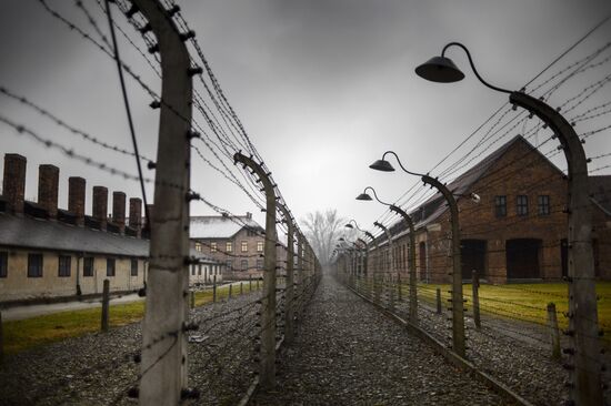 70th anniversary of Auschwitz liberation by Red Army