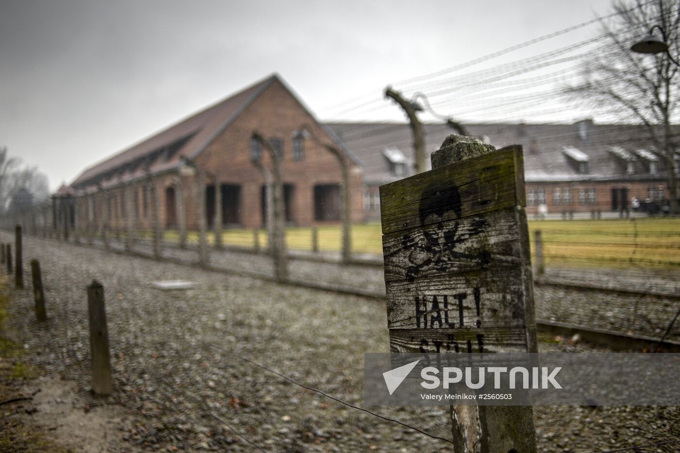 70th anniversary of Auschwitz liberation by Red Army