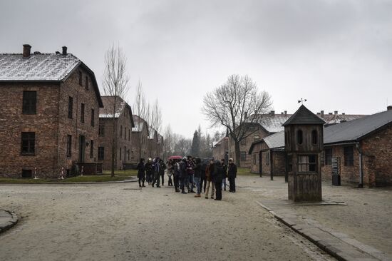 70th anniversary of Auschwitz liberation by Red Army