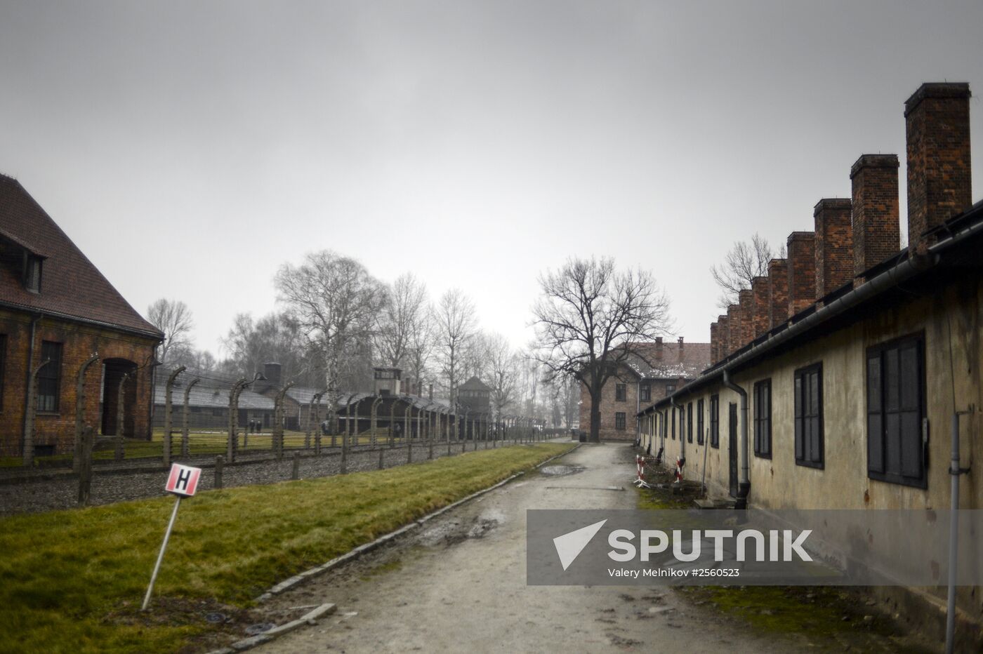 70th anniversary of Auschwitz liberation by Red Army