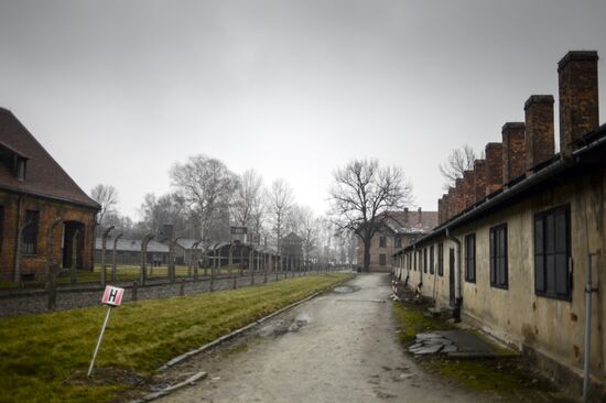 70th anniversary of Auschwitz liberation by Red Army