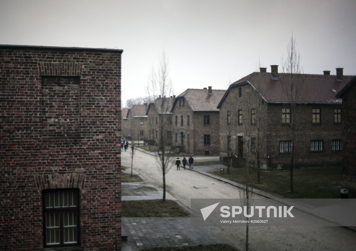 70th anniversary of Auschwitz liberation by Red Army