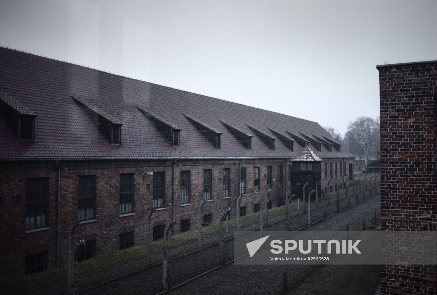 70th anniversary of Auschwitz liberation by Red Army