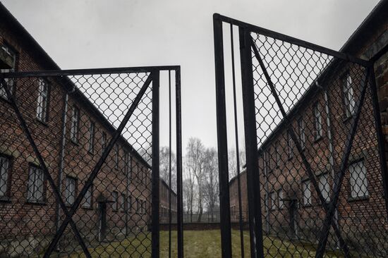 70th anniversary of Auschwitz liberation by Red Army