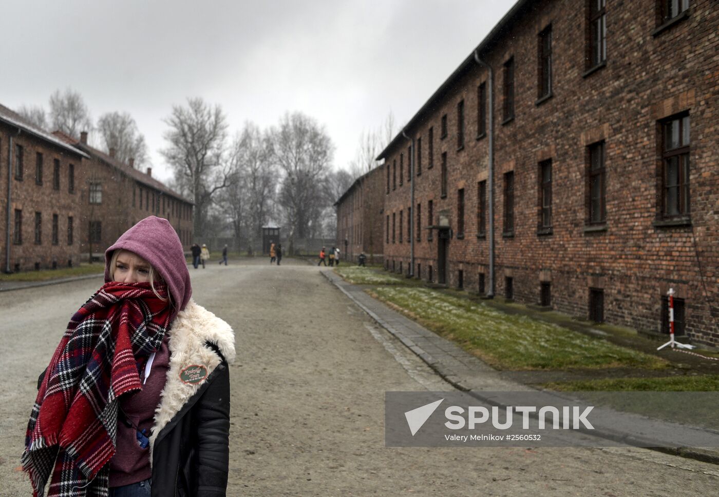 70th anniversary of Auschwitz liberation by Red Army