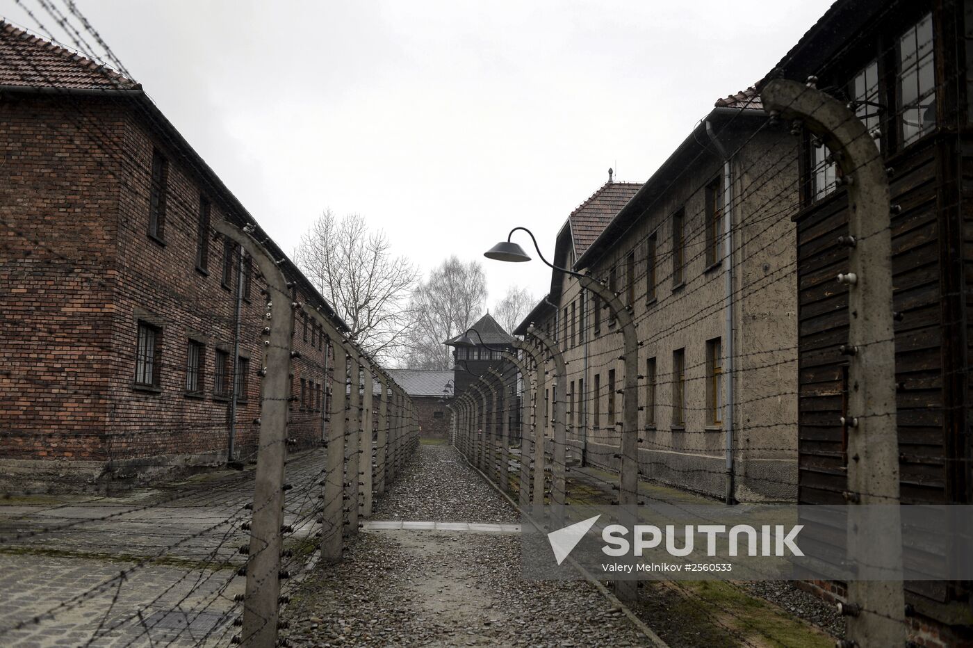70th anniversary of Auschwitz liberation by Red Army