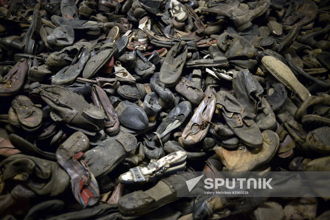 70th anniversary of Auschwitz-Birkenau liberation by Red Army