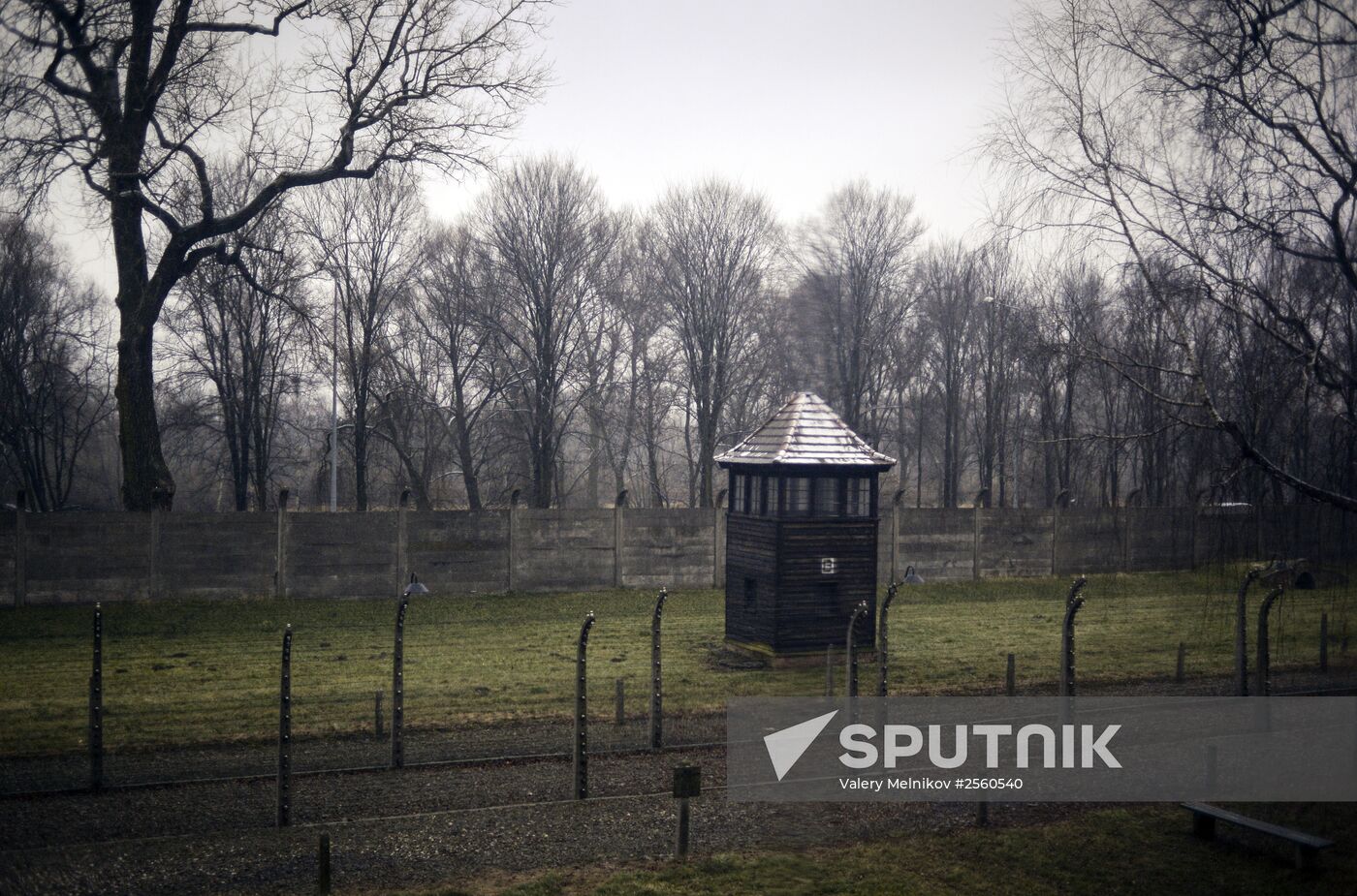 70th anniversary of Auschwitz-Birkenau liberation by Red Army