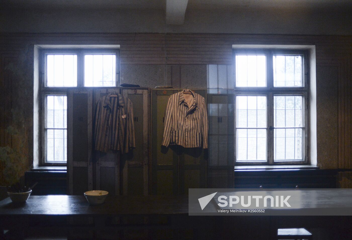 70th anniversary of Auschwitz liberation by Red Army