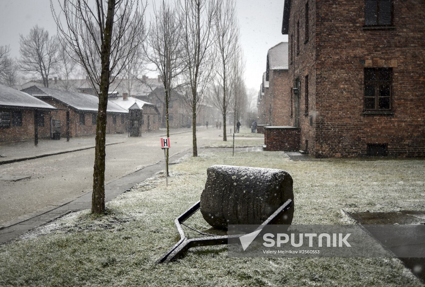 70th anniversary of Auschwitz liberation by Red Army