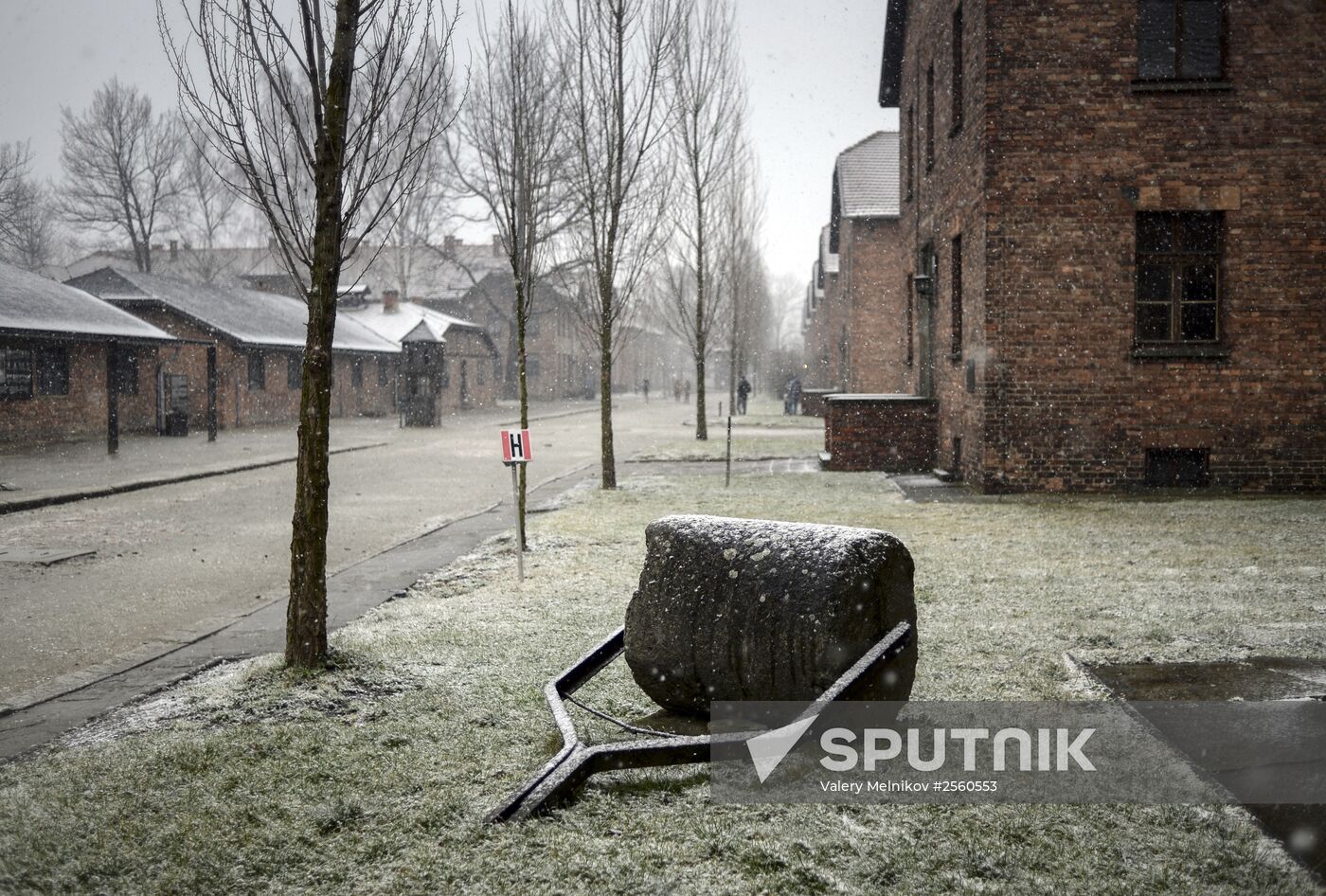 70th anniversary of Auschwitz liberation by Red Army