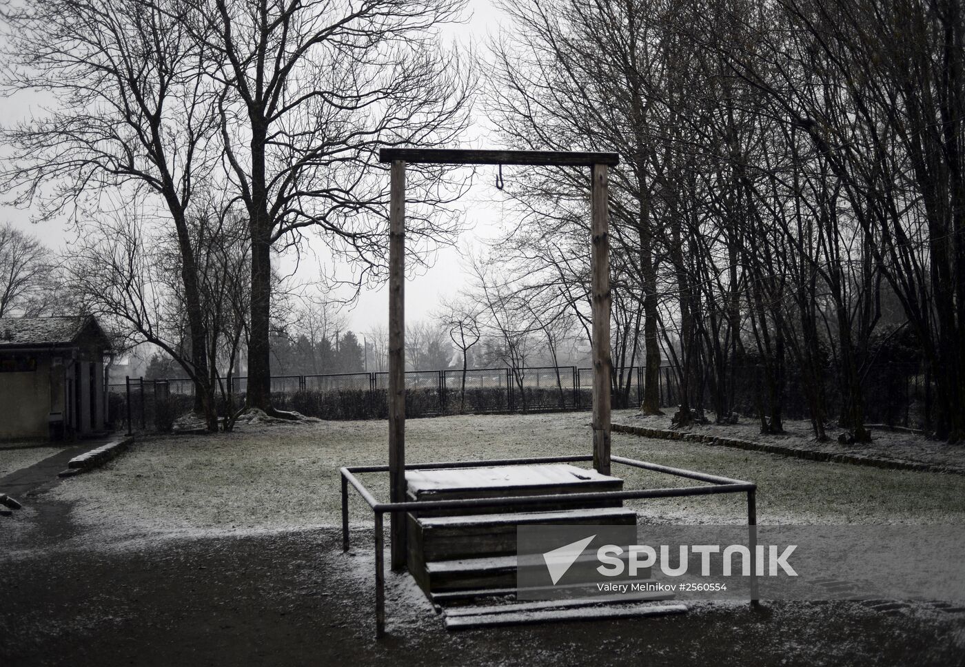 70th anniversary of Auschwitz liberation by Red Army