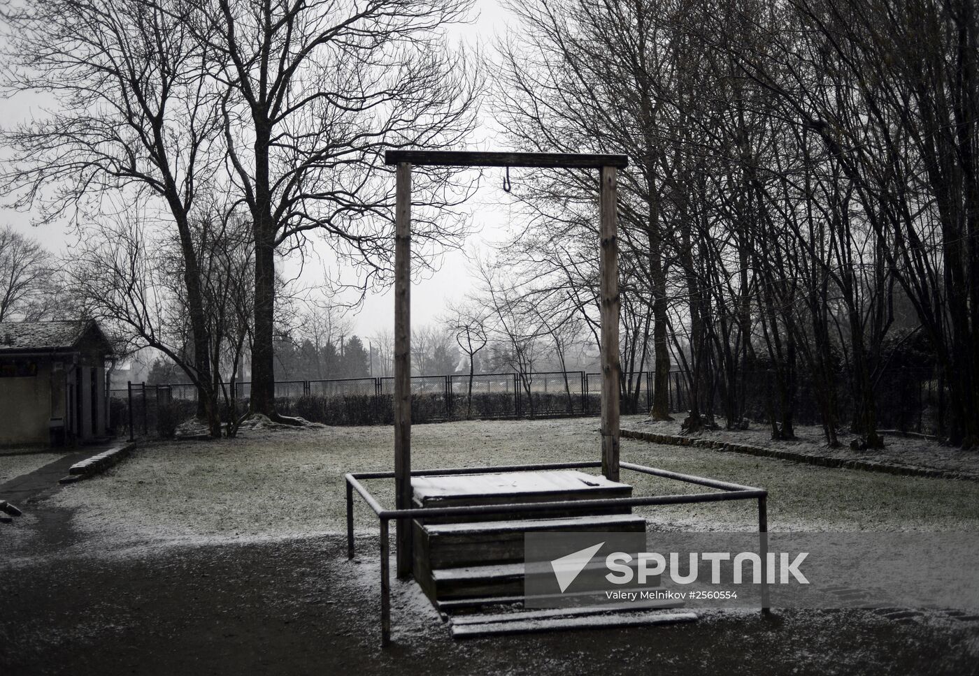 70th anniversary of Auschwitz liberation by Red Army