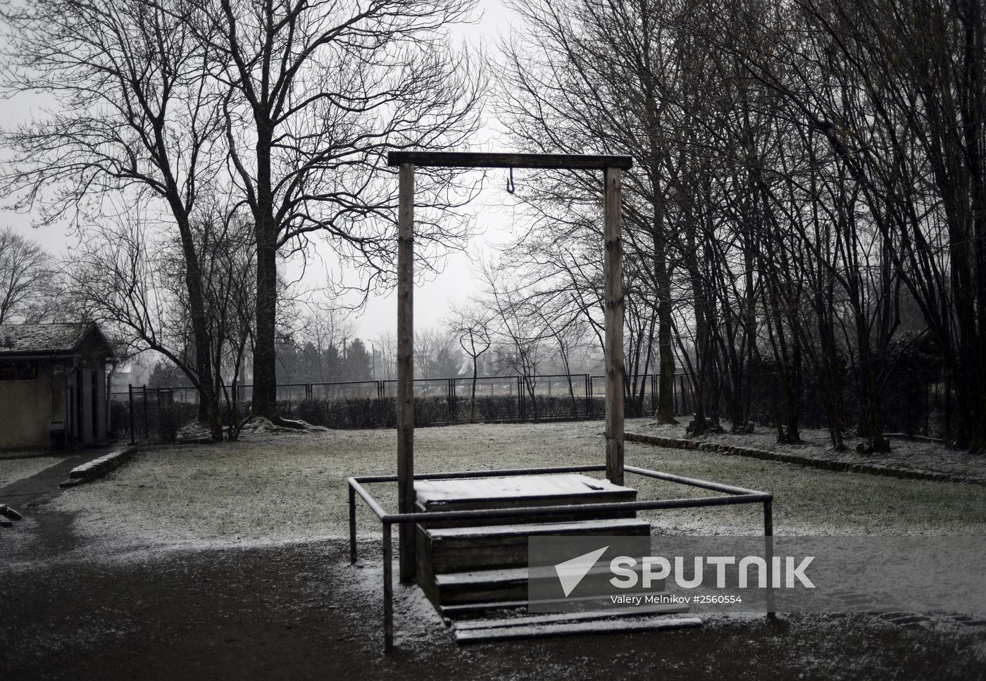 70th anniversary of Auschwitz liberation by Red Army