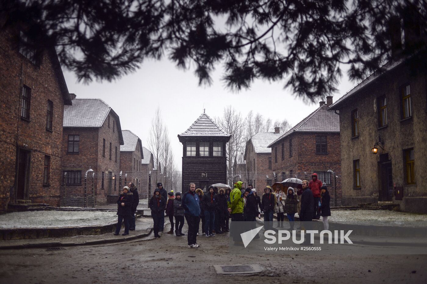 70th anniversary of Auschwitz liberation by Red Army