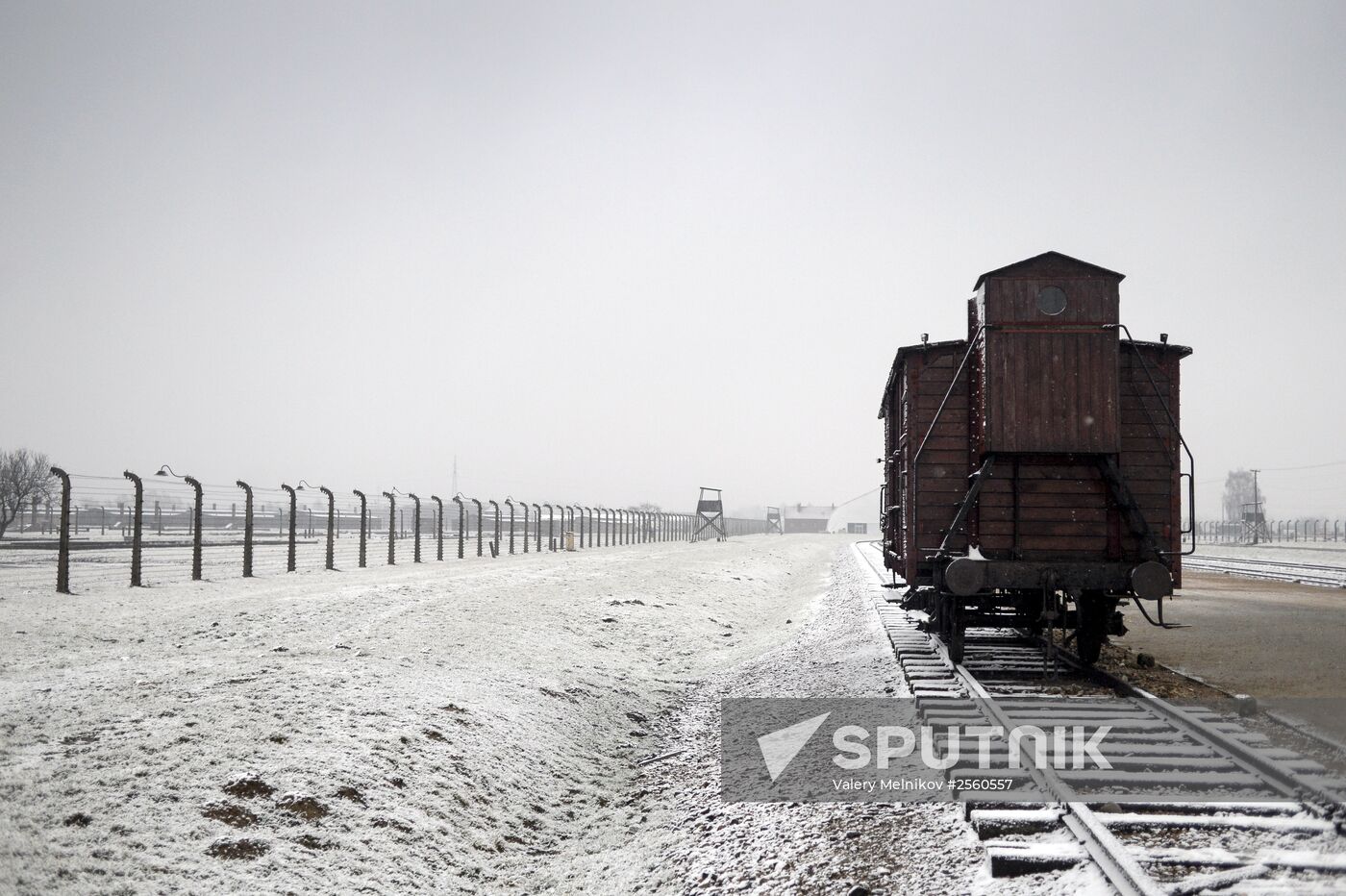 70th anniversary of Auschwitz liberation by Red Army