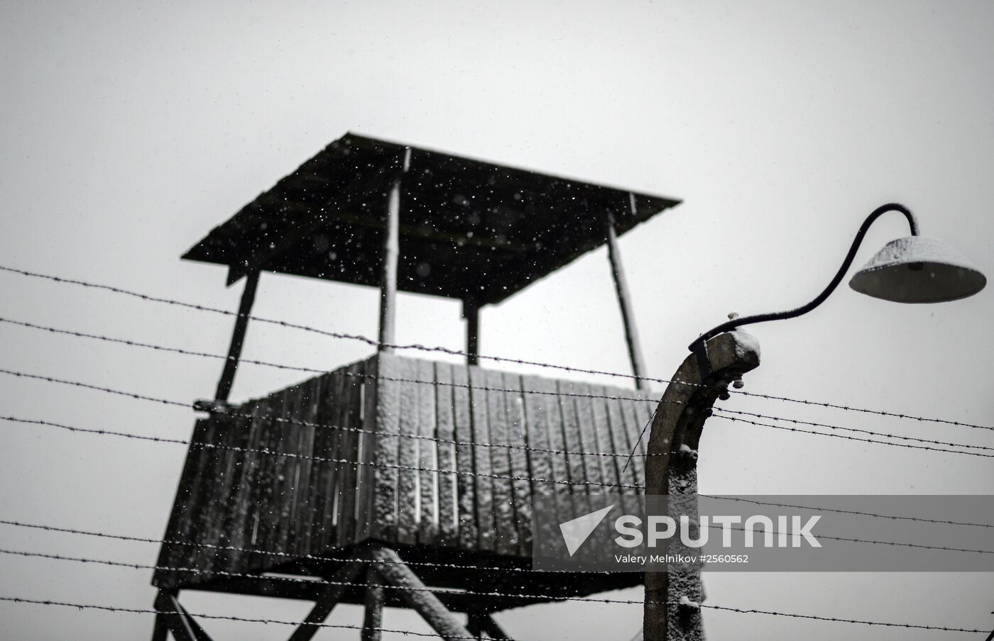 70th anniversary of Auschwitz liberation by Red Army