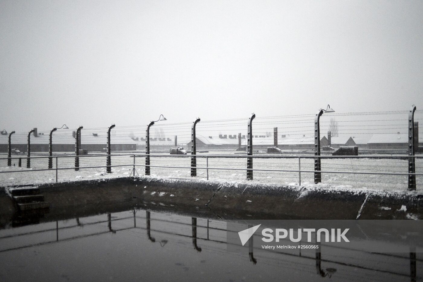 70th anniversary of Auschwitz liberation by Red Army