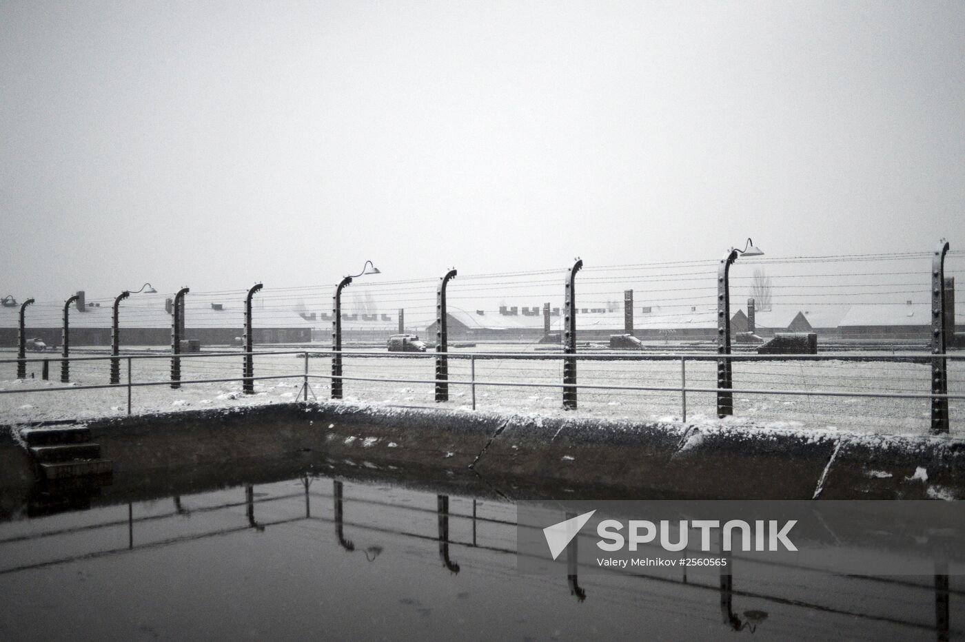 70th anniversary of Auschwitz liberation by Red Army