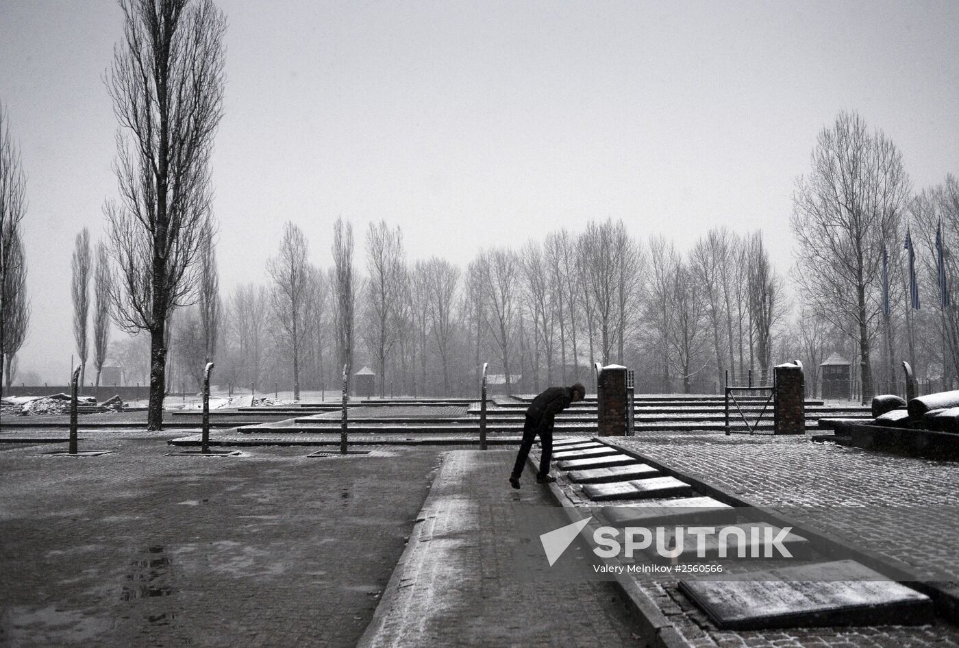 70th anniversary of Auschwitz liberation by Red Army