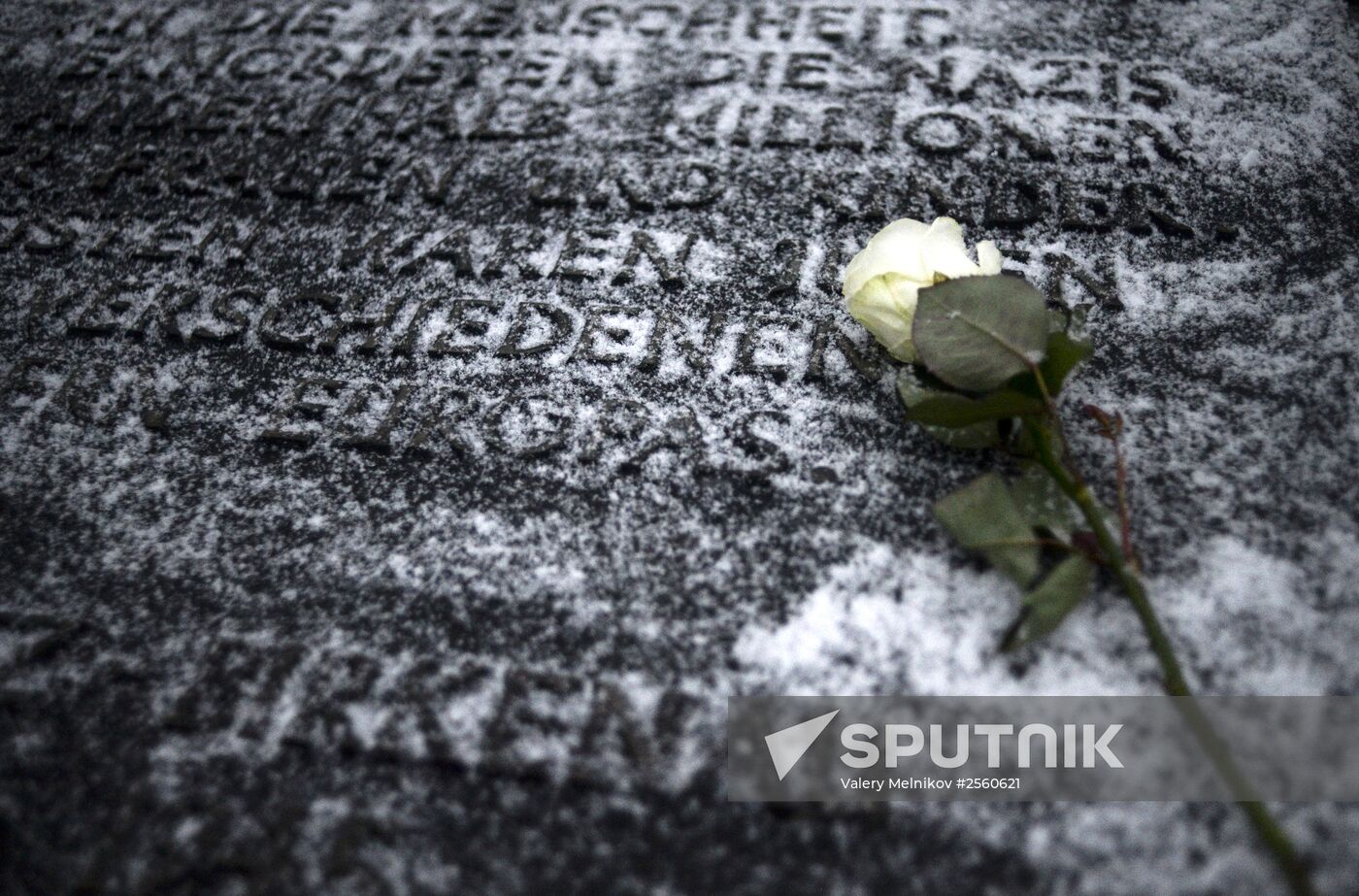 70th anniversary of Auschwitz concentration camp liberation by Red Army