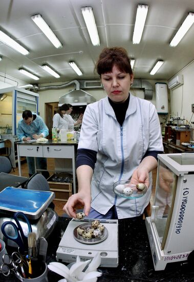 Innovative Technologies Center of the Far Eastern Federal University