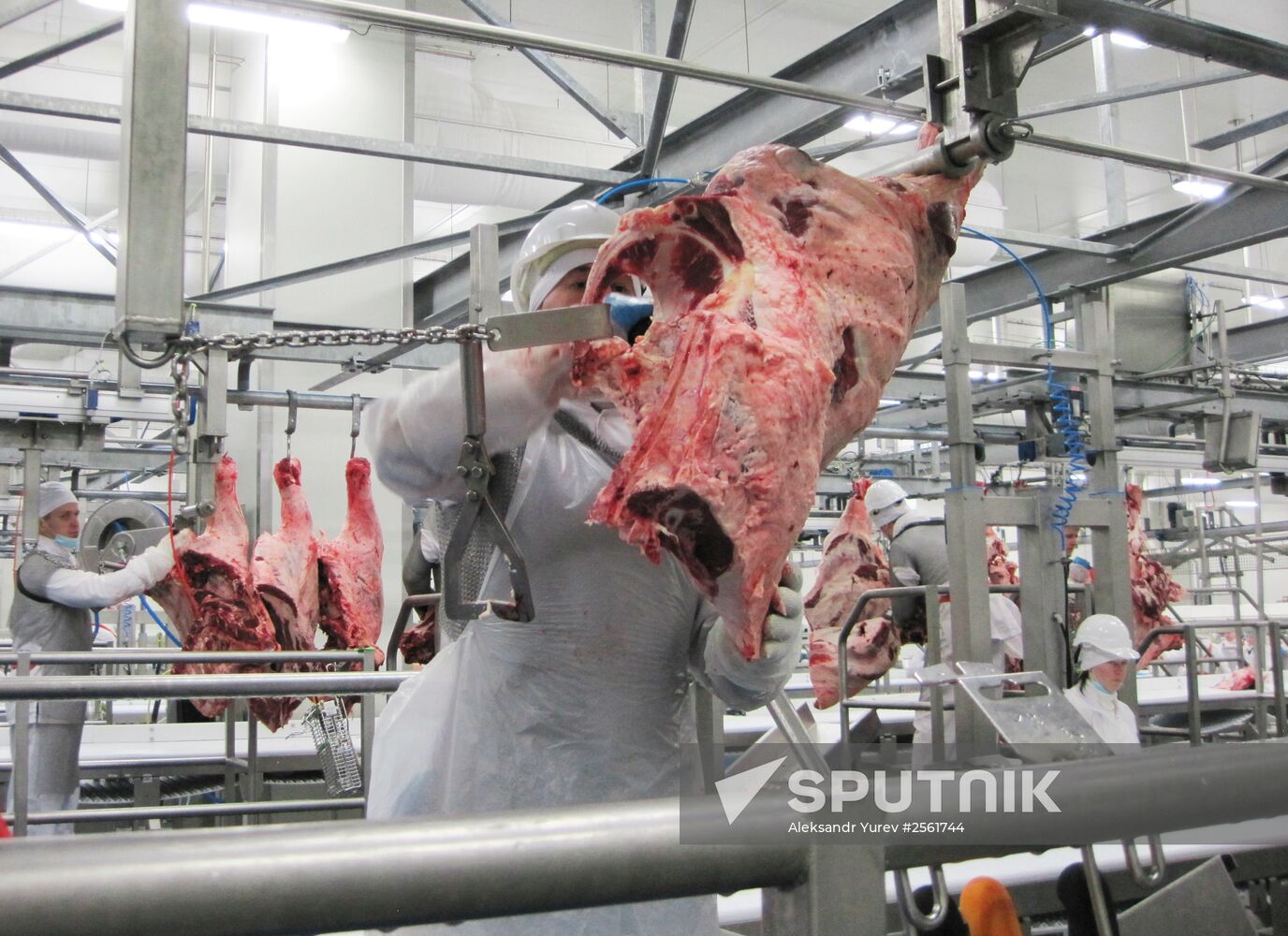 The Miratorg agroindustrial holding company in the Bryansk Region