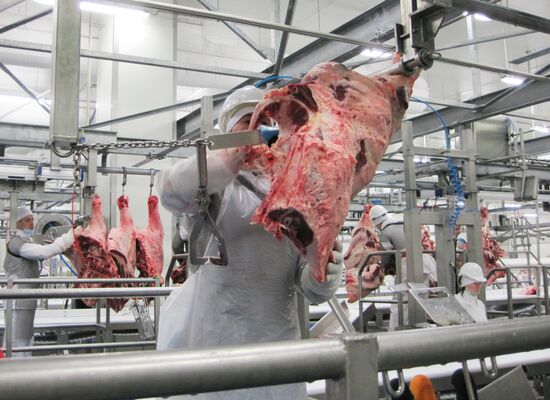 The Miratorg agroindustrial holding company in the Bryansk Region