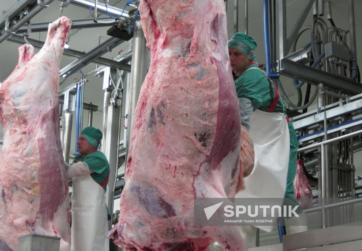 The Miratorg agroindustrial holding company in the Bryansk Region