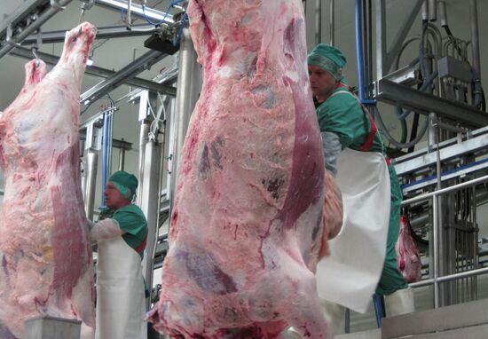 The Miratorg agroindustrial holding company in the Bryansk Region