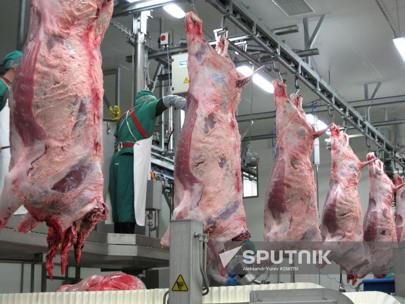 The Miratorg agroindustrial holding company in the Bryansk Region