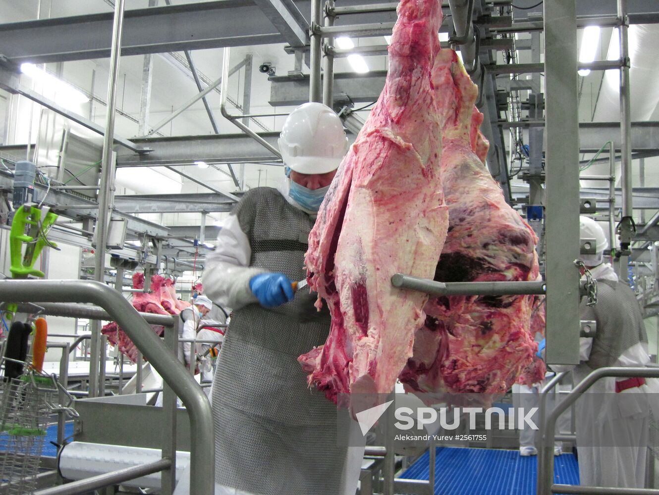The Miratorg agroindustrial holding company in the Bryansk Region
