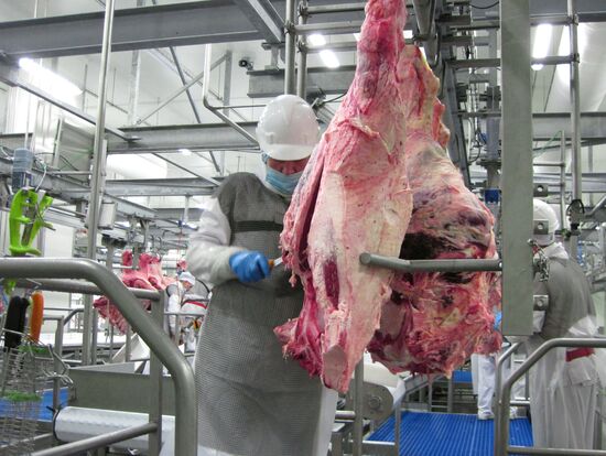 The Miratorg agroindustrial holding company in the Bryansk Region