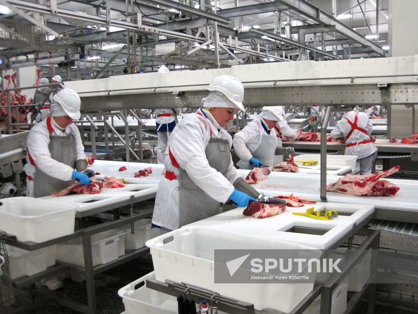 The Miratorg agroindustrial holding company in the Bryansk Region