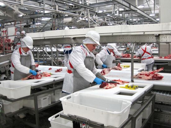The Miratorg agroindustrial holding company in the Bryansk Region