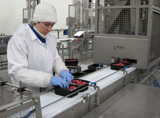 The Miratorg agroindustrial holding company in the Bryansk Region