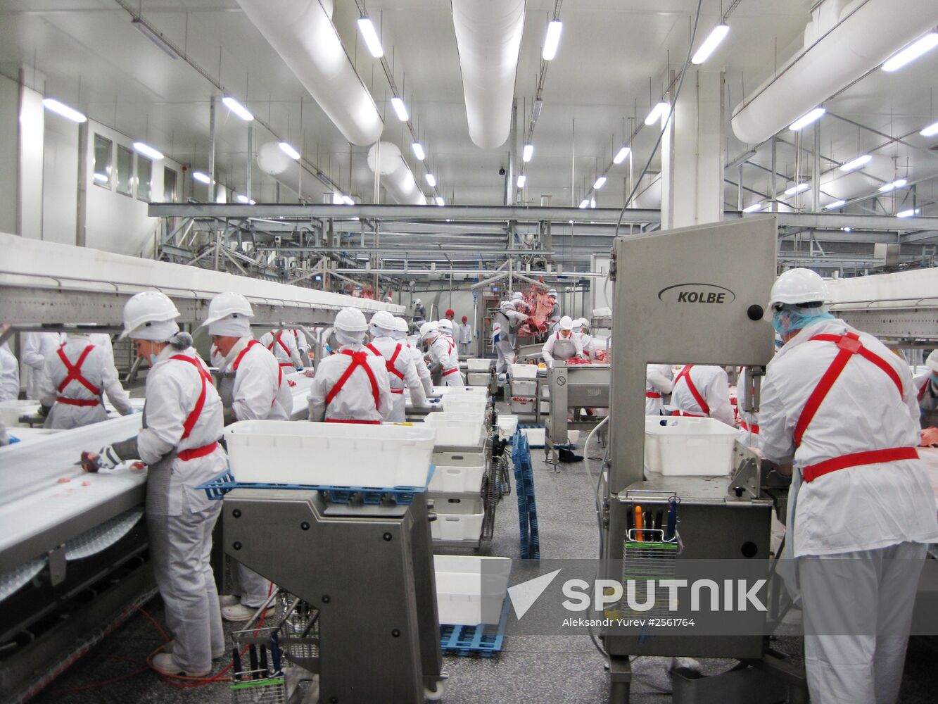 The Miratorg agroindustrial holding company in the Bryansk Region