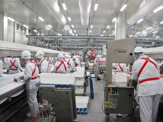 The Miratorg agroindustrial holding company in the Bryansk Region