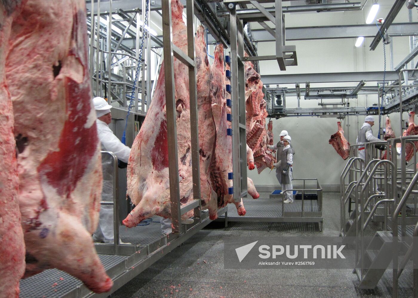 The Miratorg agroindustrial holding company in the Bryansk Region