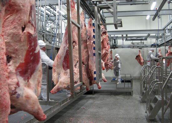 The Miratorg agroindustrial holding company in the Bryansk Region