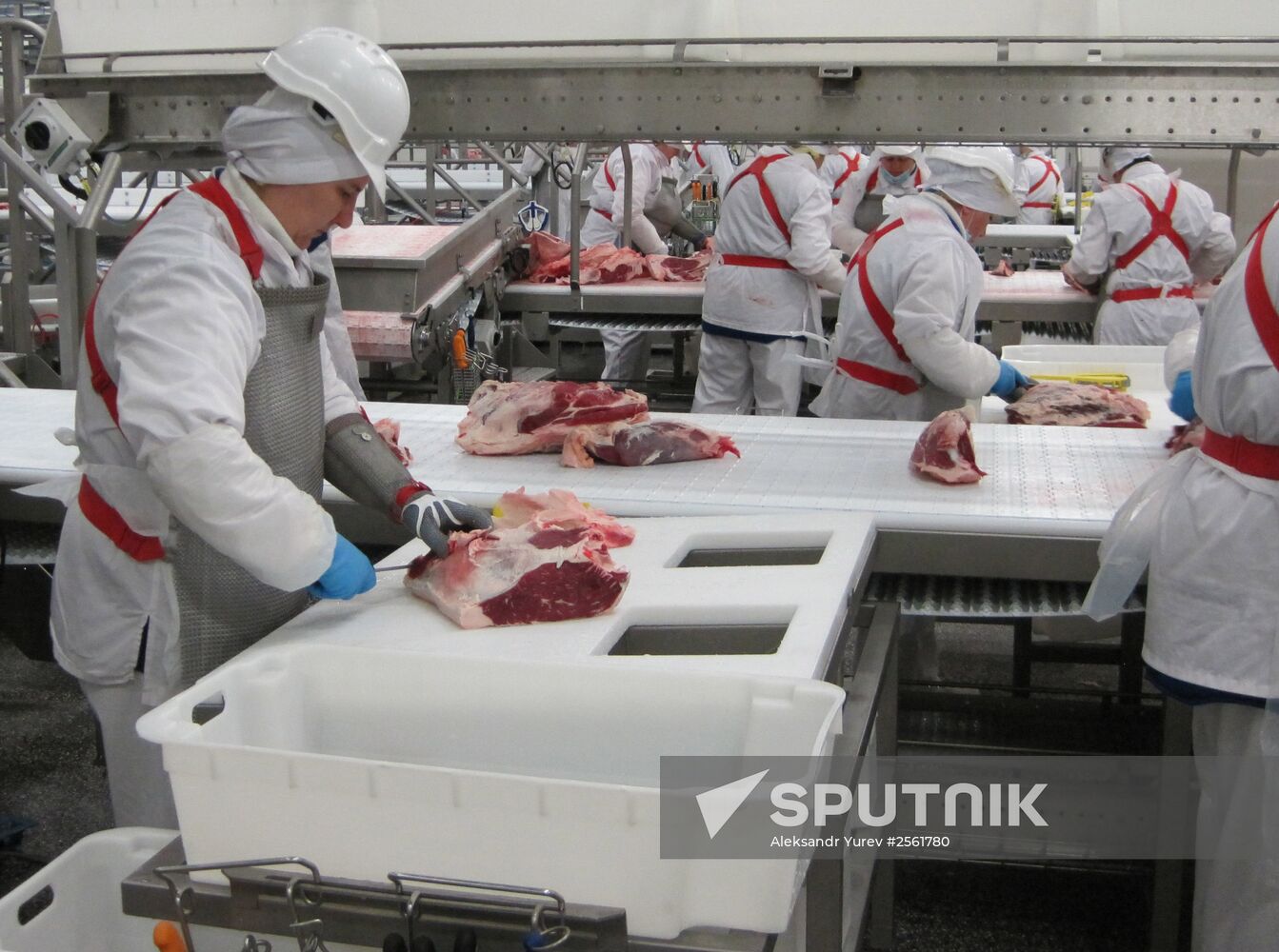 The Miratorg agroindustrial holding company in the Bryansk Region