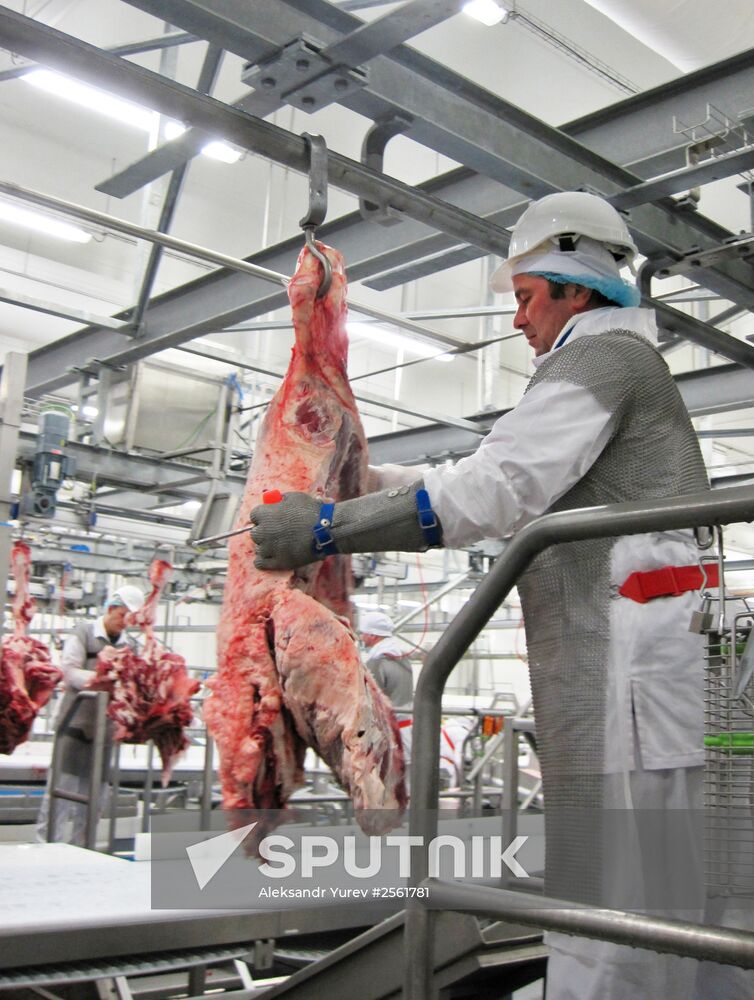 The Miratorg agroindustrial holding company in the Bryansk Region