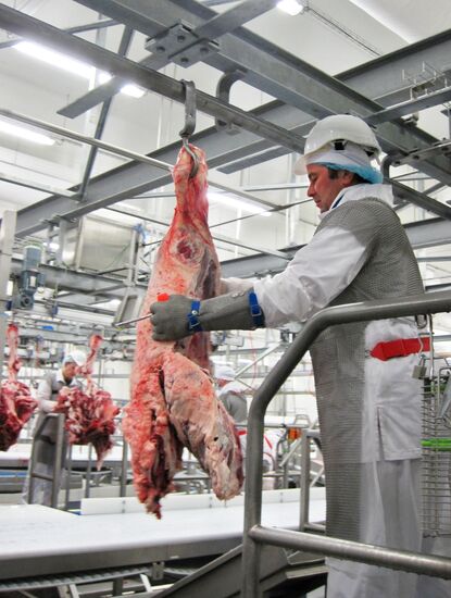 The Miratorg agroindustrial holding company in the Bryansk Region