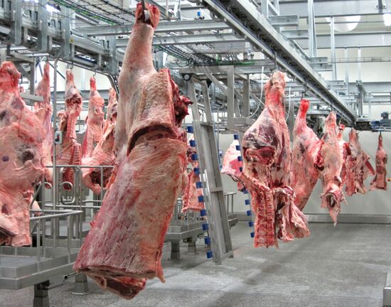 The Miratorg agroindustrial holding company in the Bryansk Region