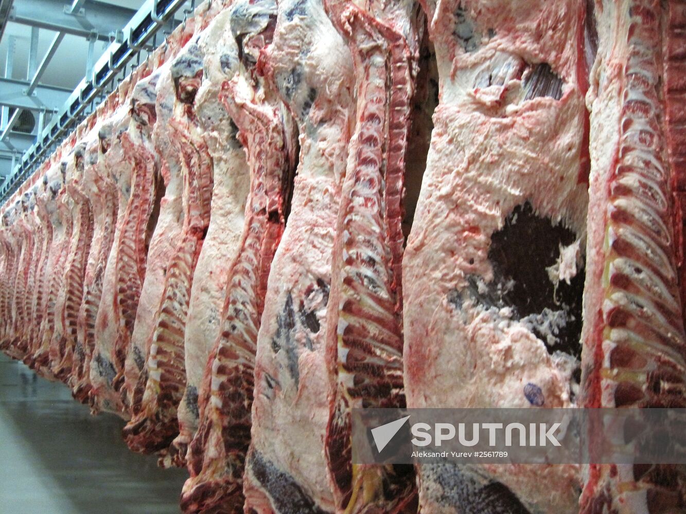 The Miratorg agroindustrial holding company in the Bryansk Region