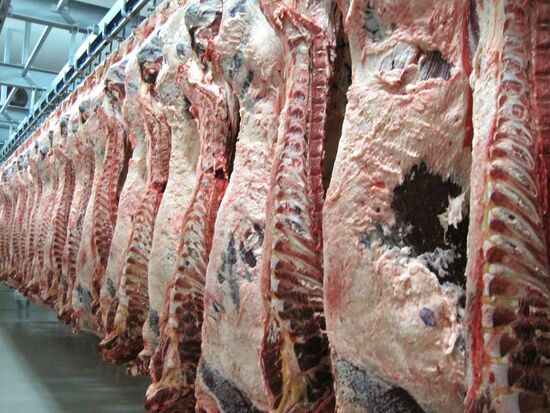 The Miratorg agroindustrial holding company in the Bryansk Region
