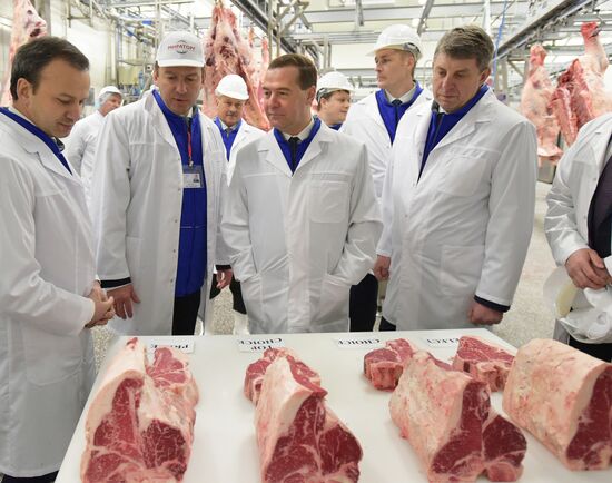 Prime Minister Dmitry Medvedev visits Central Federal District