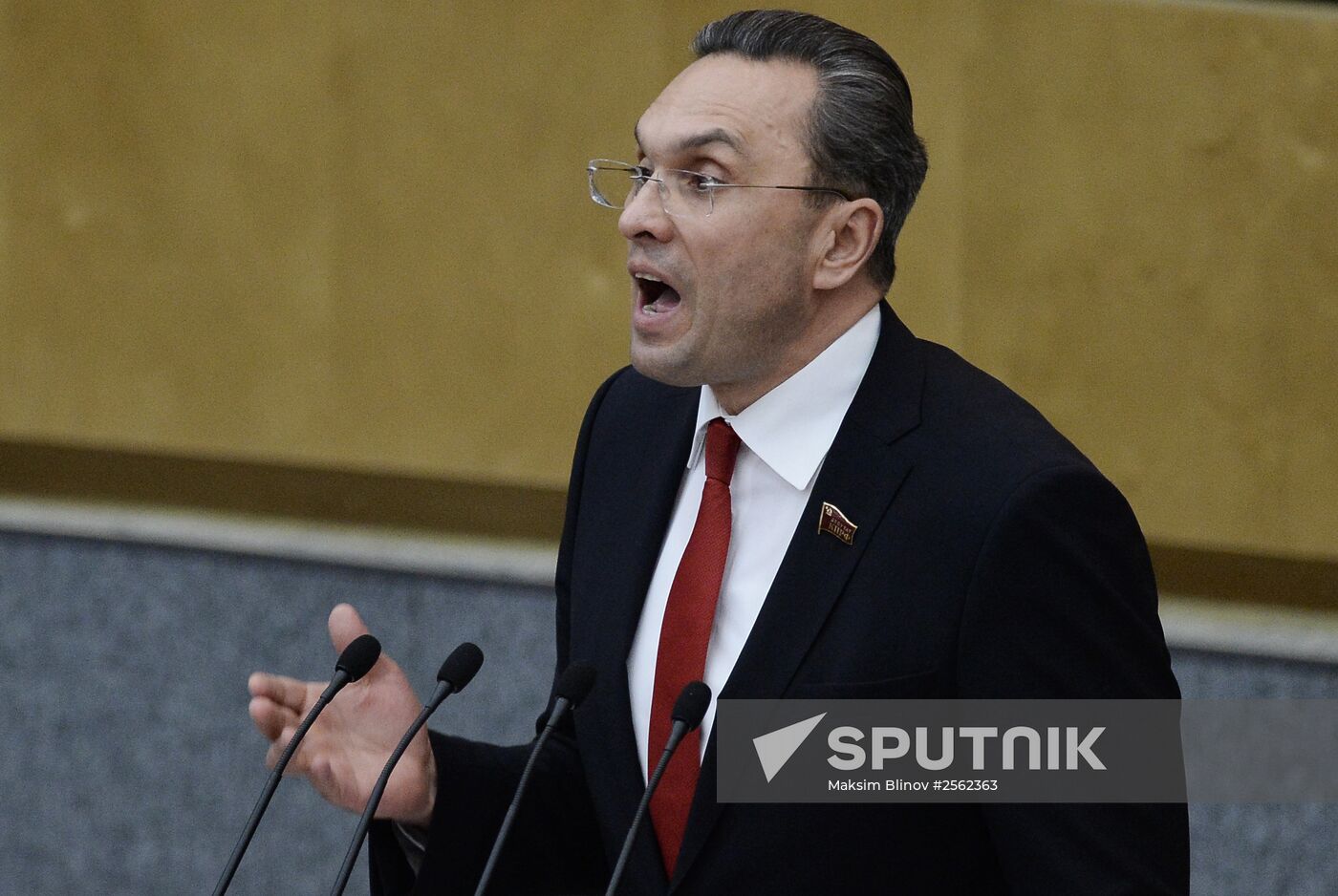 State Duma plenary meeting